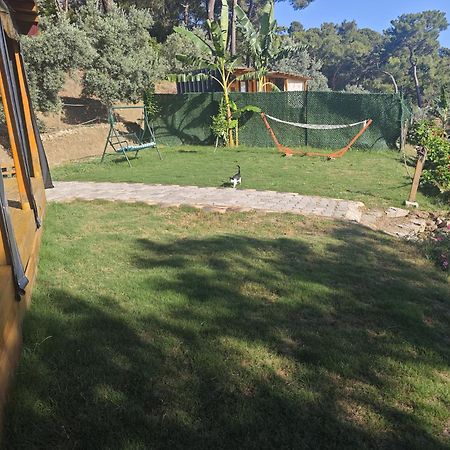 Tiny Mini House Dalaman Exterior foto