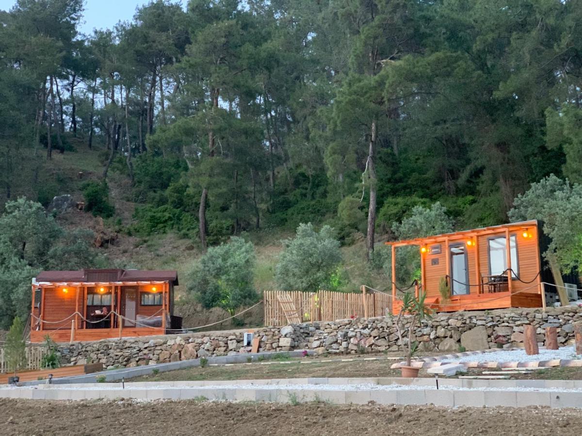 Tiny Mini House Dalaman Exterior foto