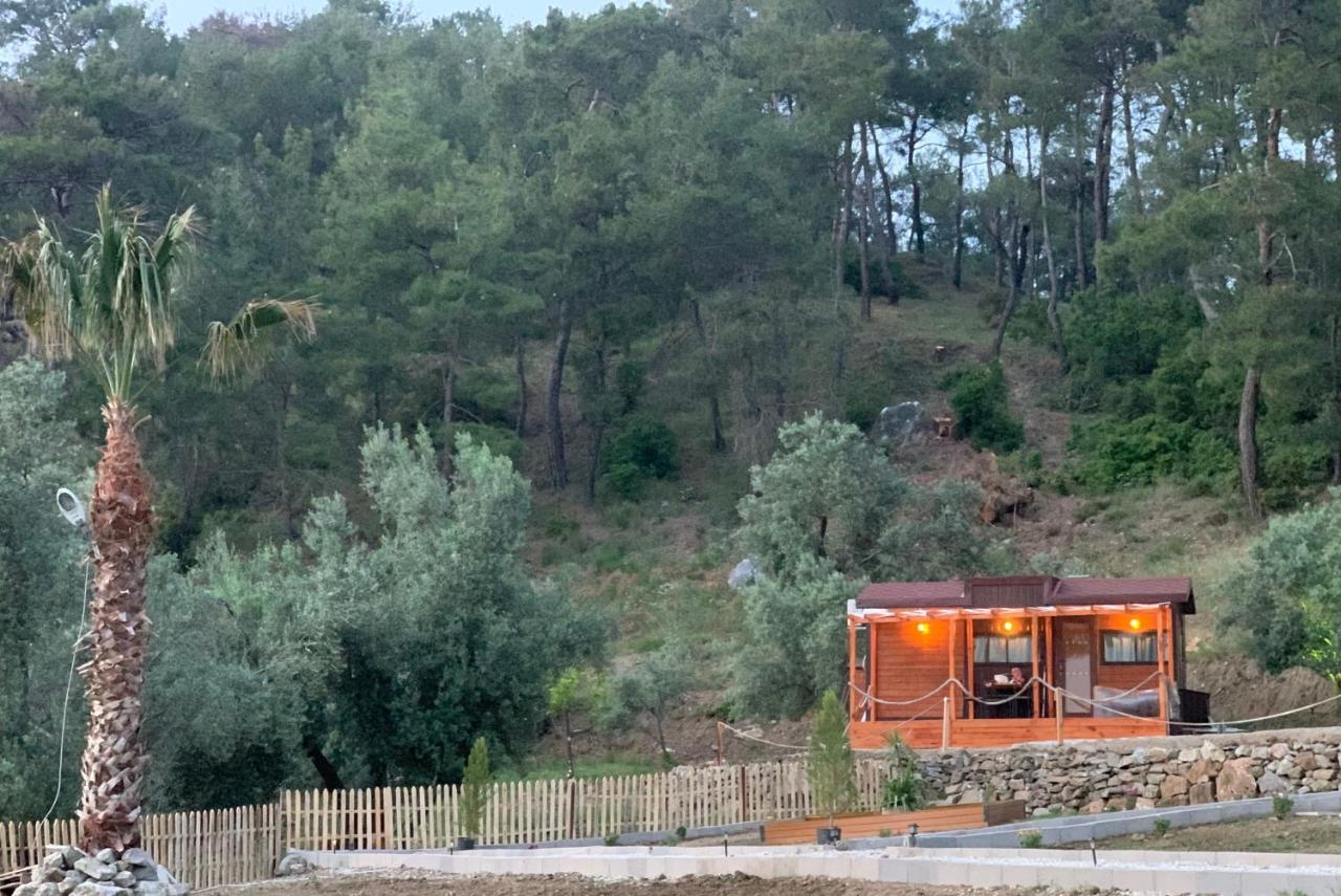 Tiny Mini House Dalaman Exterior foto