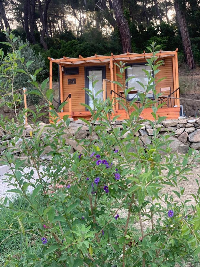 Tiny Mini House Dalaman Exterior foto