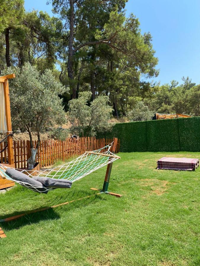 Tiny Mini House Dalaman Exterior foto