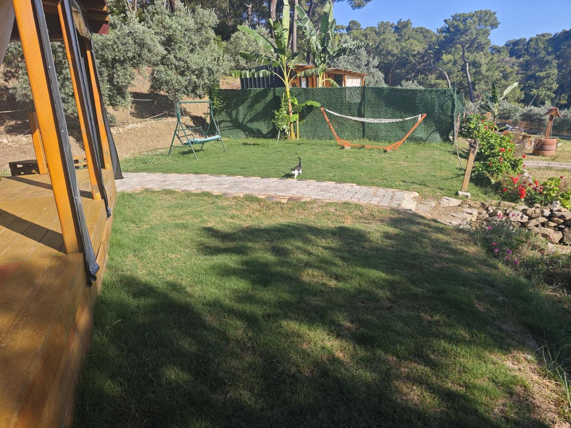 Tiny Mini House Dalaman Exterior foto