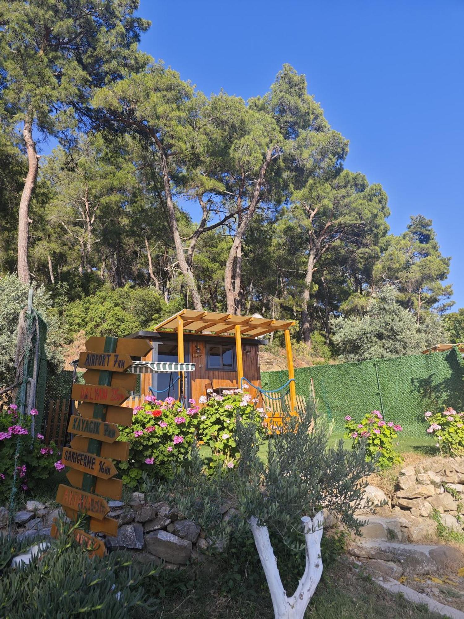 Tiny Mini House Dalaman Exterior foto