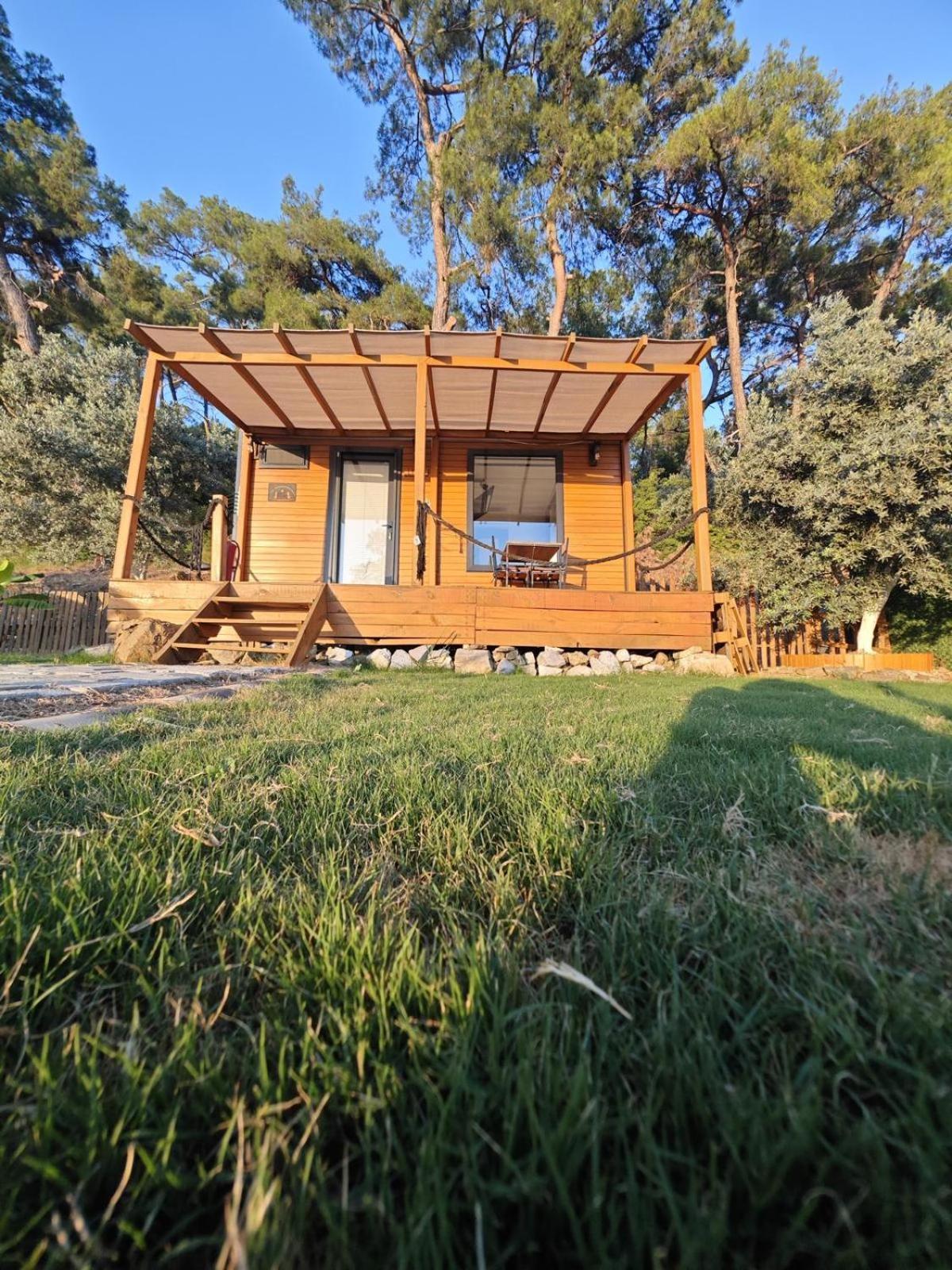 Tiny Mini House Dalaman Exterior foto