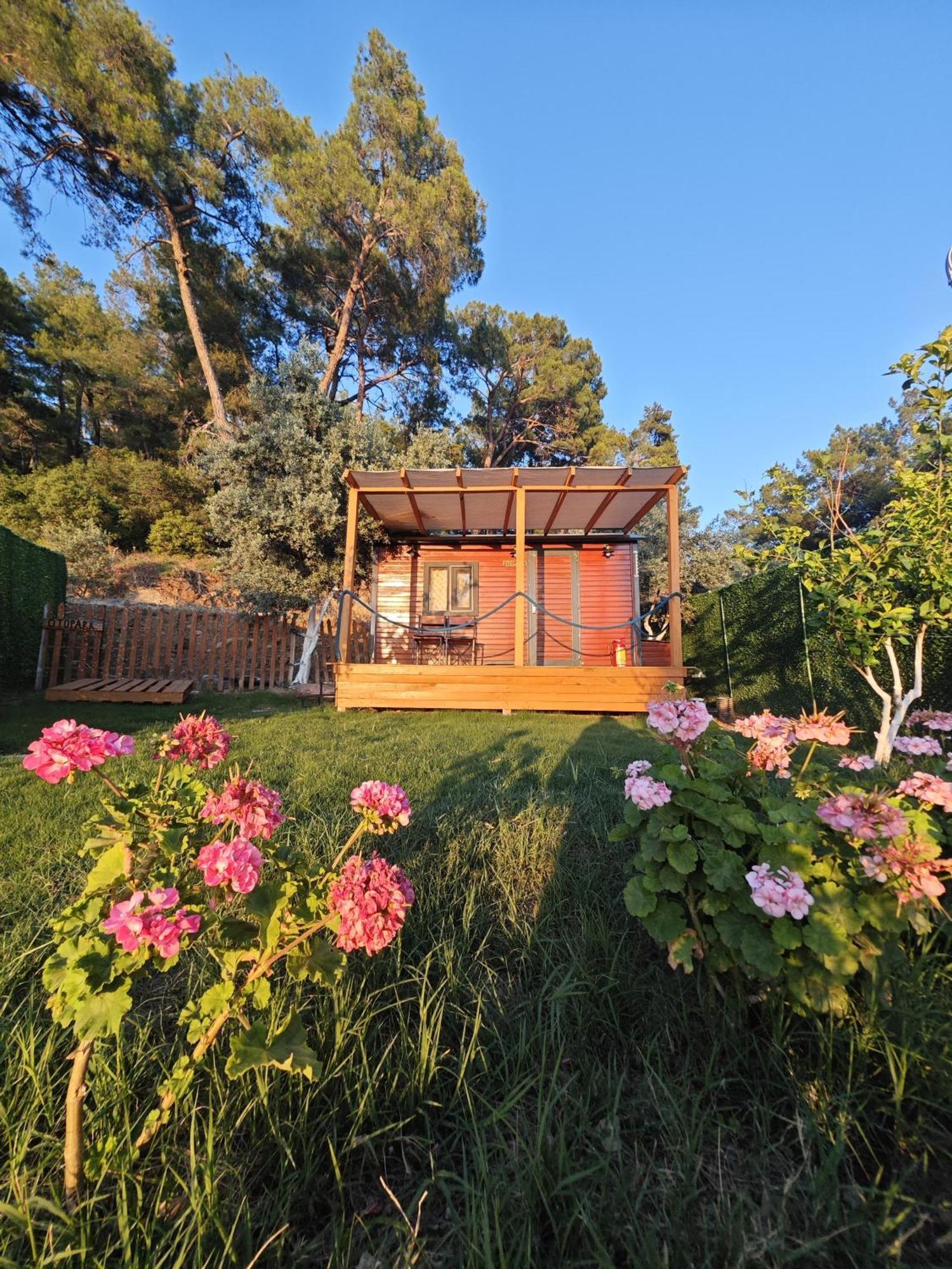 Tiny Mini House Dalaman Exterior foto